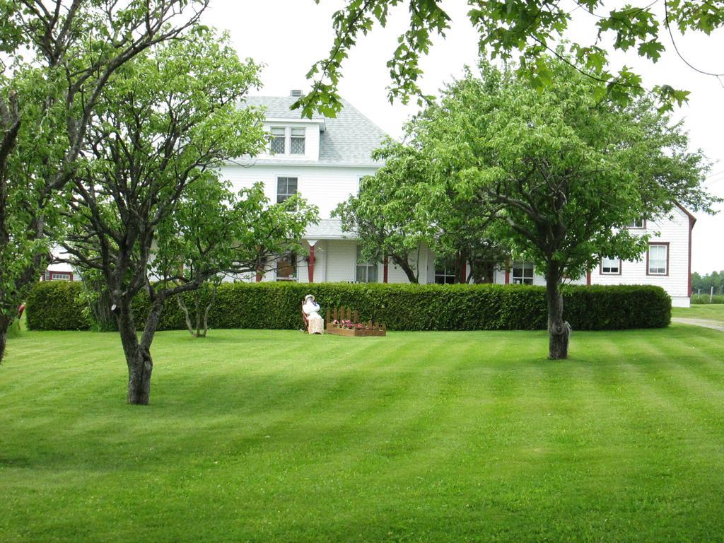 Gite Les Acres Tranquilles B&B Port-Daniel Экстерьер фото