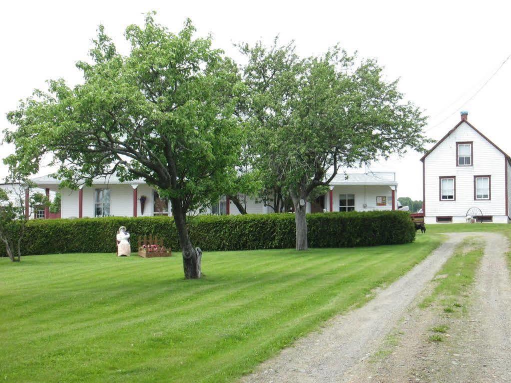 Gite Les Acres Tranquilles B&B Port-Daniel Экстерьер фото